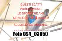 CS4_03650-