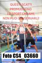 CS4_03660-