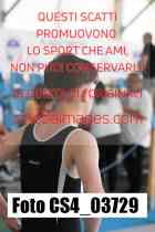 CS4_03729-