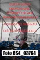 CS4_03764-