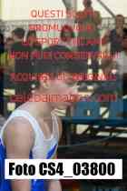CS4_03800-