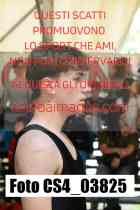CS4_03825-