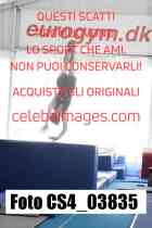 CS4_03835-