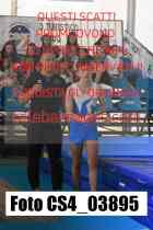 CS4_03895-