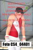 CS4_04401-