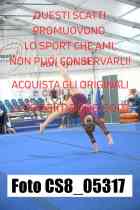 CS8_05317-