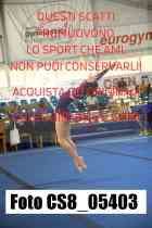 CS8_05403-