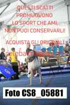 CS8_05881-
