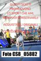 CS8_05882-