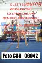 CS8_06042-