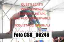CS8_06246-