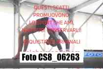 CS8_06263-