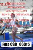 CS8_06315-