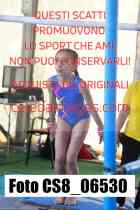 CS8_06530-