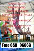 CS8_06663-