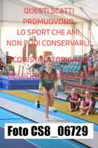 CS8_06729-