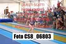 CS8_06803-