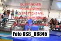 CS8_06845-