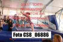 CS8_06886-
