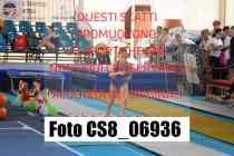 CS8_06936-