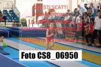 CS8_06950-