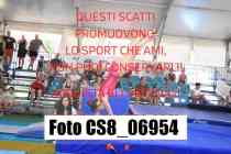CS8_06954-