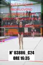03886_C24