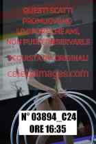 03894_C24