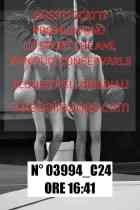 03994_C24