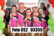 CS2_03355