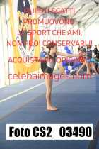 CS2_03490