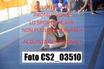 CS2_03510