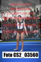 CS2_03560