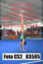 CS2_03585