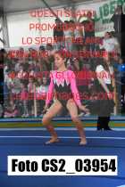 CS2_03954