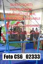 CS6_02333