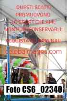 CS6_02340