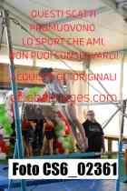 CS6_02361