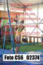 CS6_02374