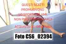 CS6_02394