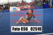CS6_02510