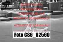 CS6_02560