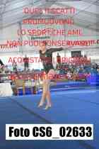 CS6_02633