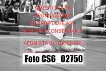 CS6_02750