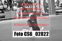 CS6_02822