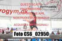 CS6_02950