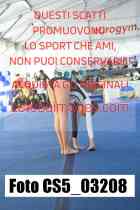 CS5_03208-