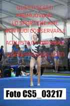CS5_03217-
