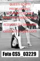 CS5_03229-
