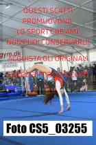 CS5_03255-